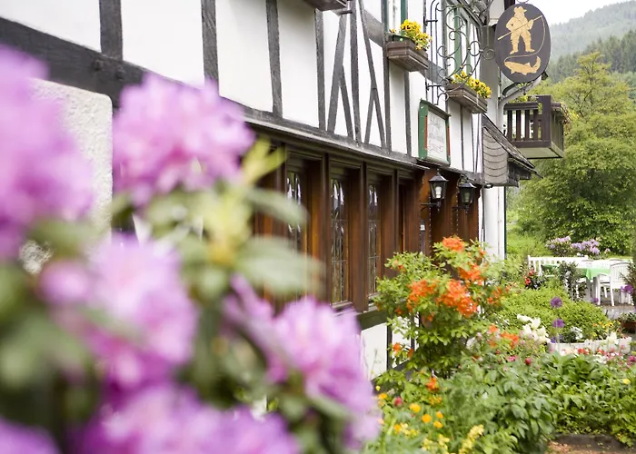 게스트하우스 Forellenhof Poggel 에슬로헤